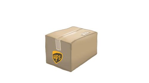 TED@UPS: A shipping odyssey