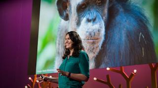 TED@UPS Atlanta speaker: Stephanie Braccini Slade