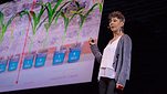 TED Global: Jill Farrant: How we can make crops survive without water