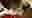 poster placeholder