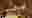 poster placeholder
