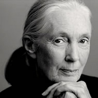 Jane Goodall