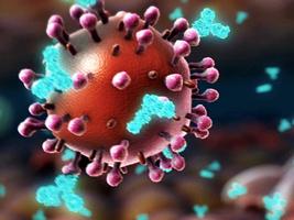 Seth Berkley: HIV and flu -- the vaccine strategy