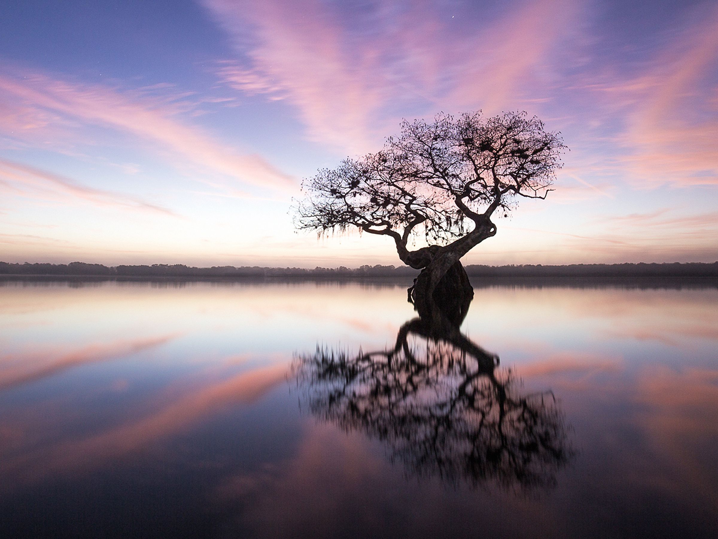Stunning photos of the endangered Everglades