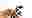poster placeholder