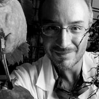 Stefano Mancuso