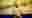poster placeholder