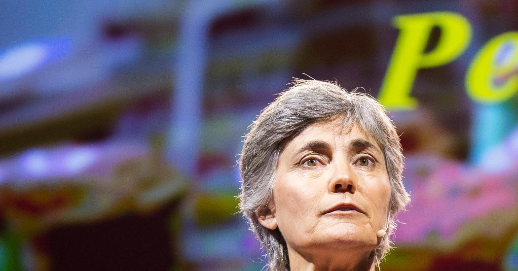 Robin Chase Net Worth