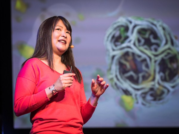 Janet Iwasa: How animations can help scientists test a hypothesis