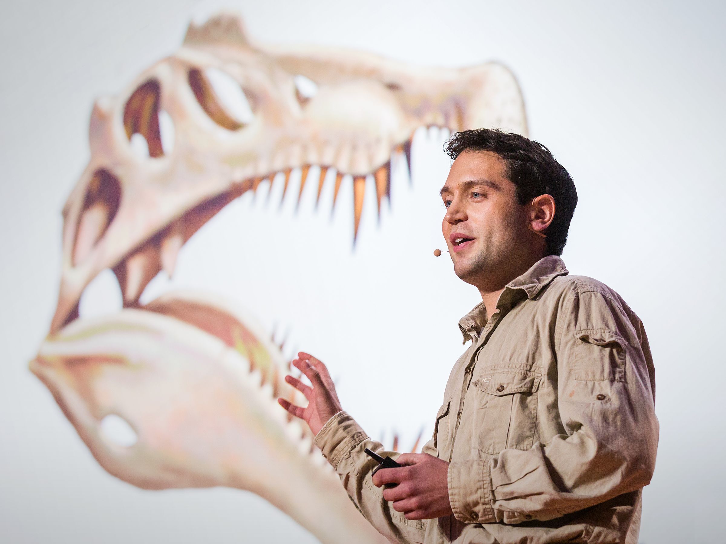 How we unearthed the Spinosaurus