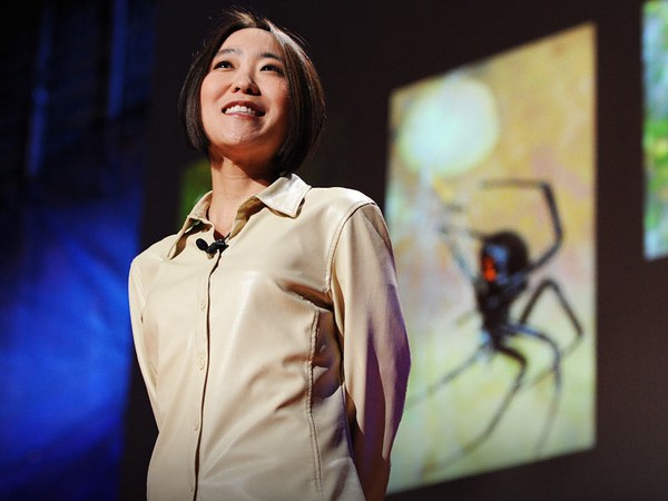 Cheryl Hayashi: The magnificence of spider silk