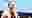 poster placeholder