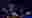 poster placeholder
