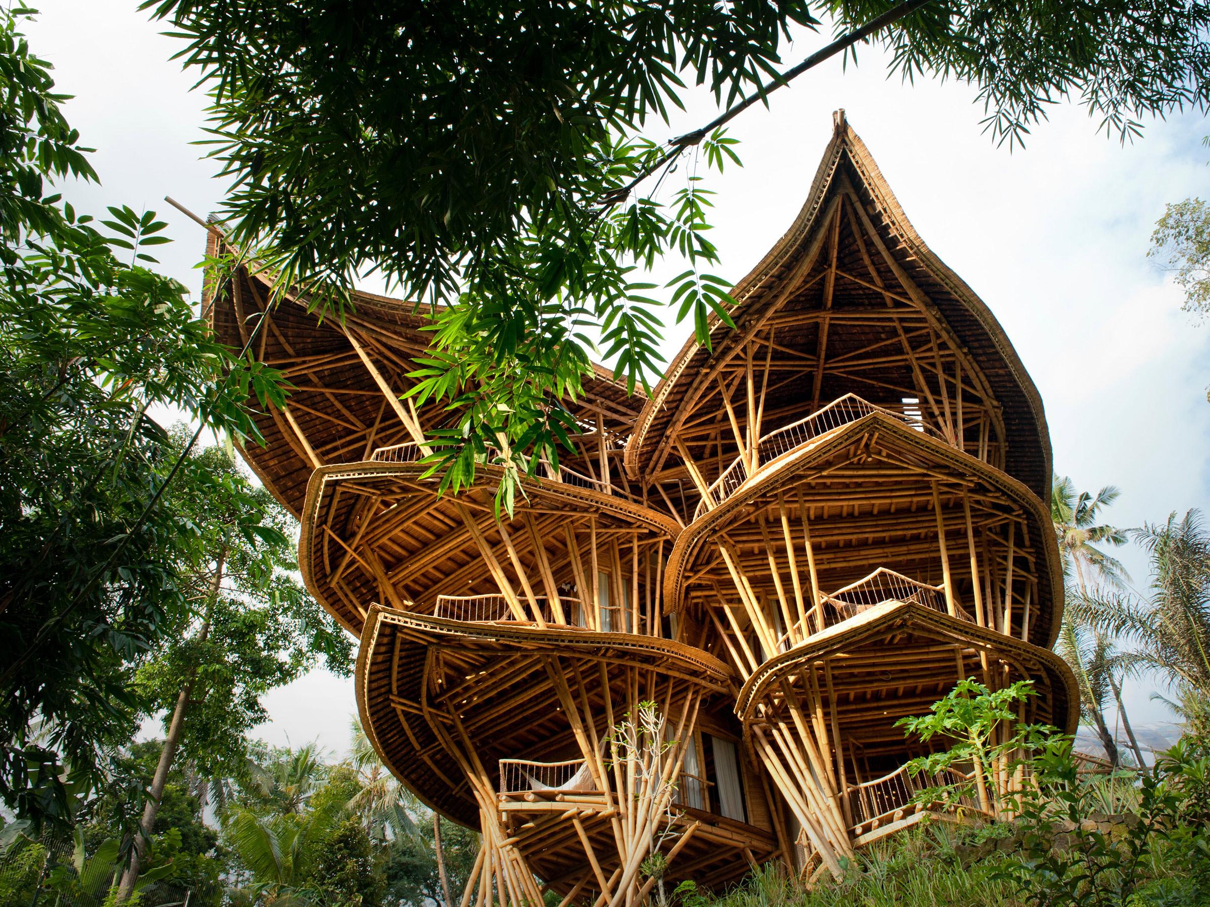 Magical houses, made of bamboo