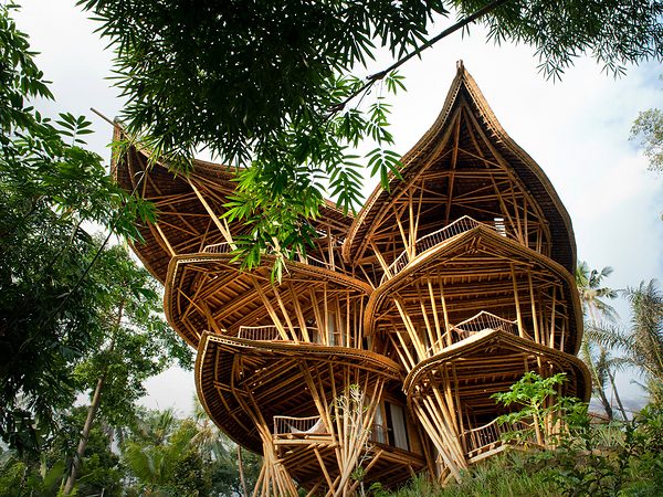 Magical houses, made of bamboo