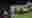 poster placeholder