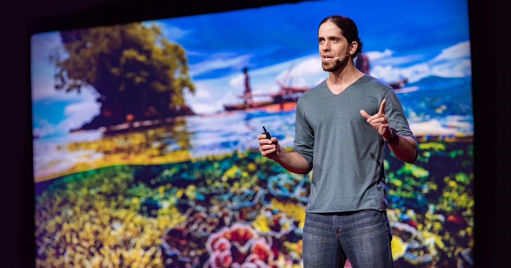 Could the social lives of fish help us save coral reefs? | Mike Gil