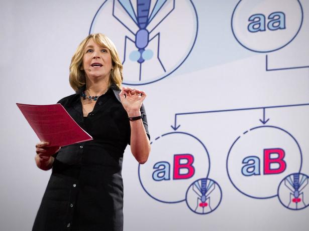 Gene editing can now change an entire species -- forever | Jennifer Kahn