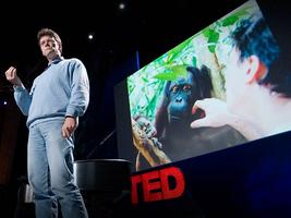 Willie Smits: How to restore a rainforest