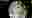poster placeholder