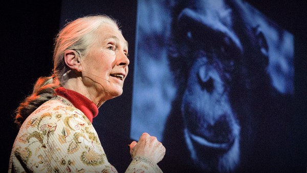Jane Goodall: How humans and animals can live together