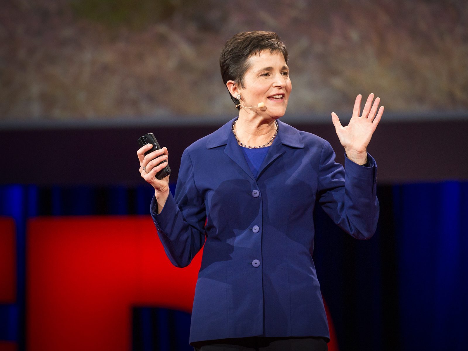 What ants teach us about the brain, cancer and the Internet | Deborah Gordon podcast