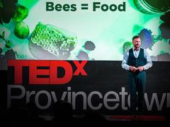 robin murphy ted talk