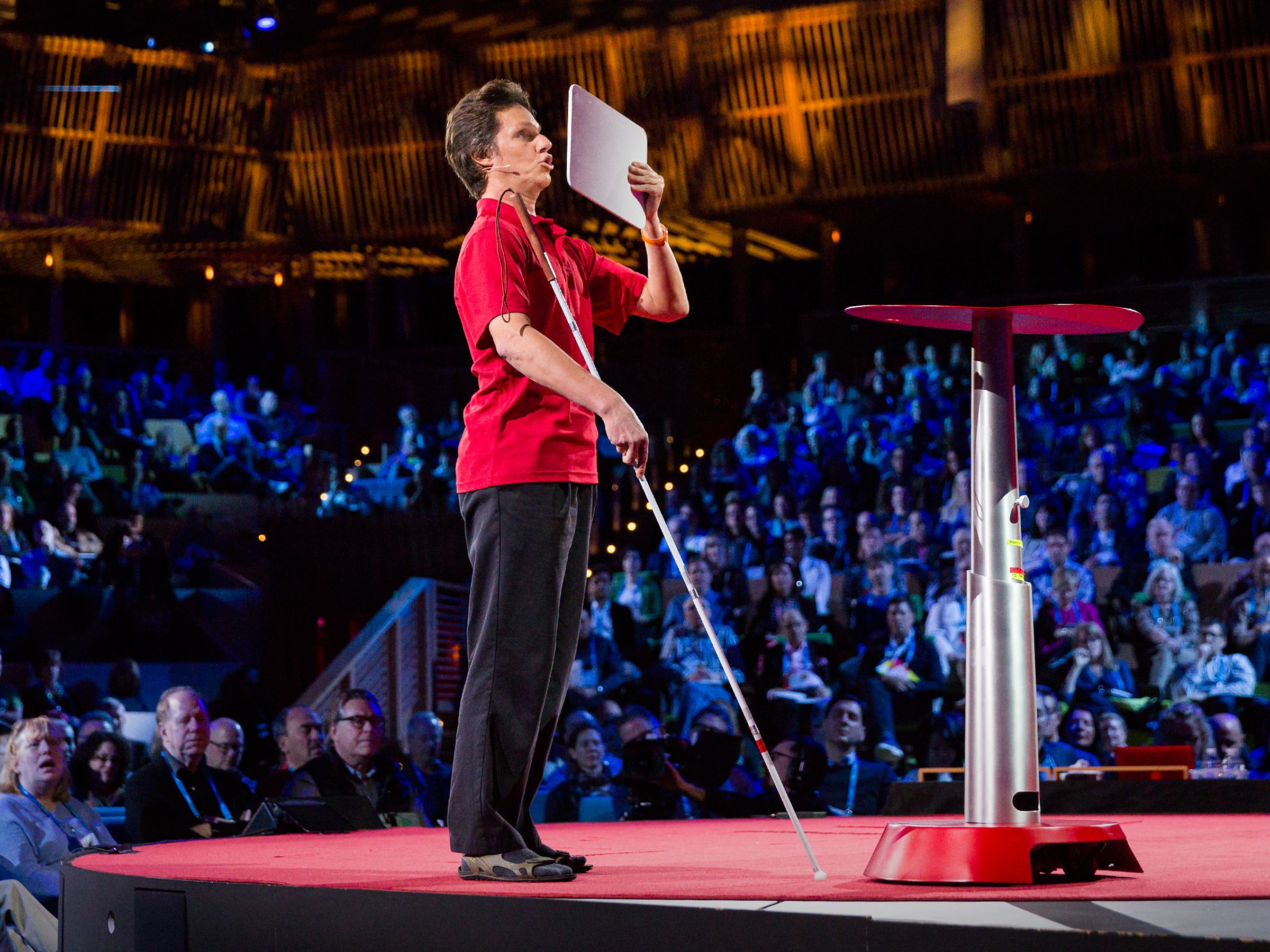 How I use sonar to navigate the world