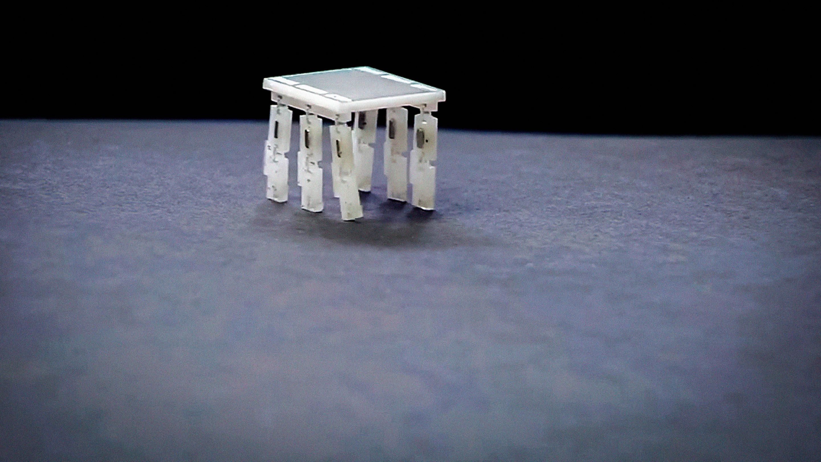 Why I make robots the size of a grain of rice