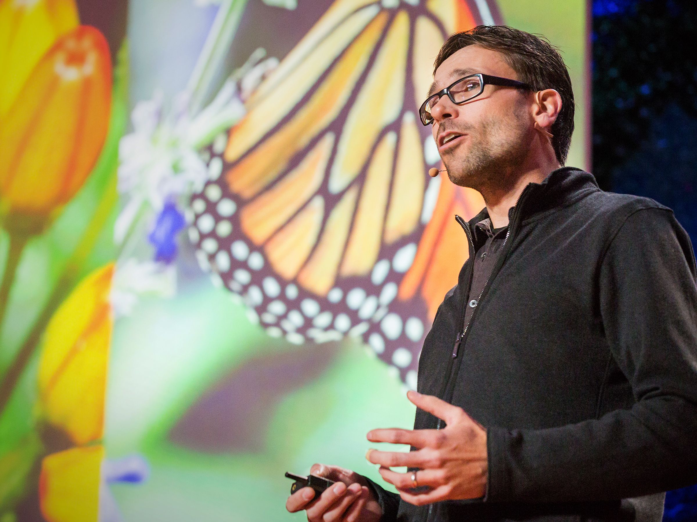 How butterflies self-medicate