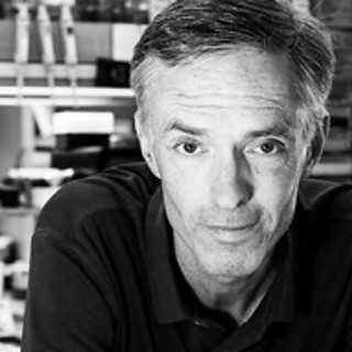 Jim Collins