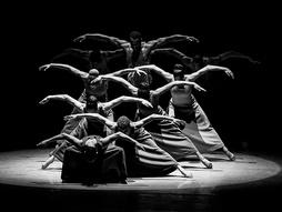 The Company  Alvin Ailey American Dance Theater