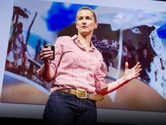 robin murphy ted talk