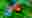 poster placeholder