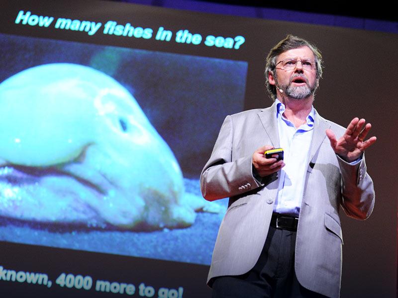 A census of the ocean