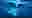 poster placeholder
