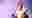 poster placeholder