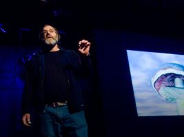 Paul Stamets: 6 ways mushrooms can save the world