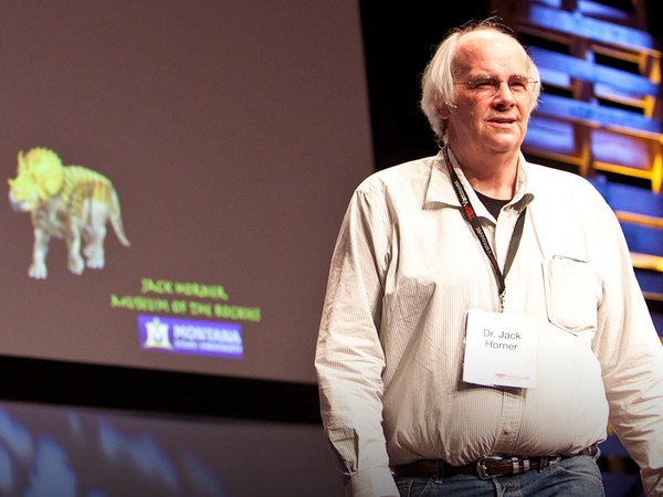 Jack Horner: Where are the baby dinosaurs?