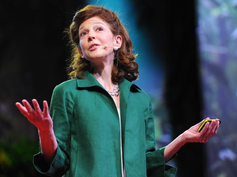 pamela-meyer-how-to-spot-a-liar-ted-talk