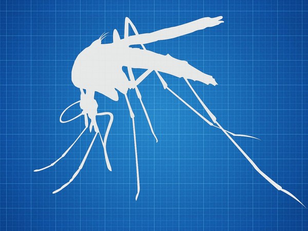 Hadyn Parry: Re-engineering mosquitos to fight disease