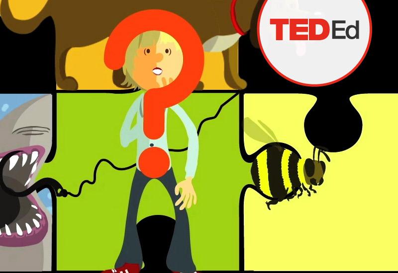 Chris Anderson Ted 誰も答えを知らない疑問 フルバージョン Ted Talk