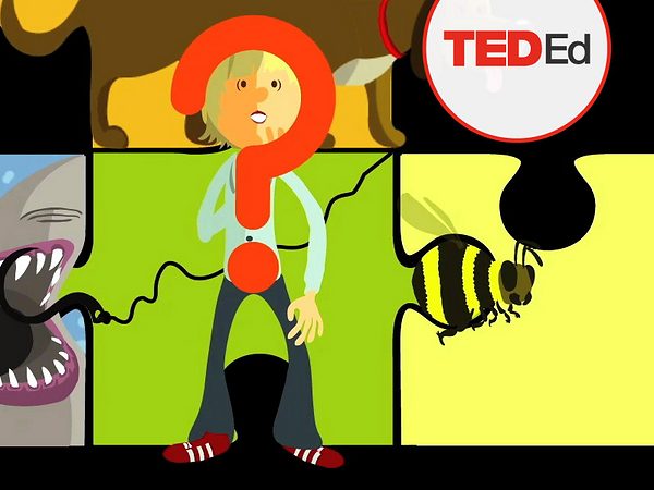 Questions no one knows the answers to