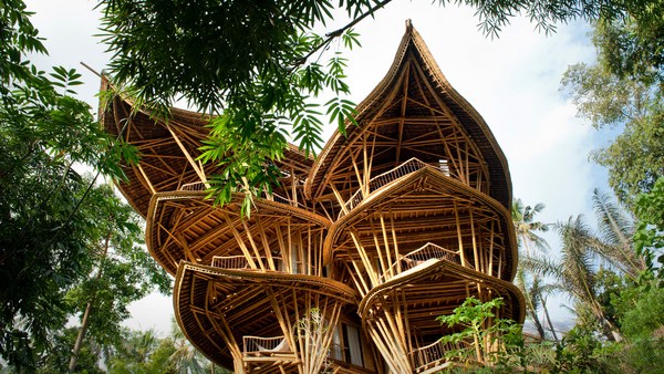 breed bijwoord Dapperheid Elora Hardy: Magische huizen, gemaakt van bamboe | TED Talk