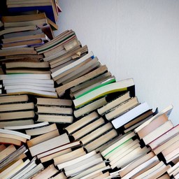 ideas about literature