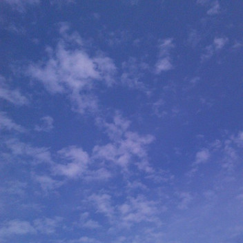 Michelle Poon