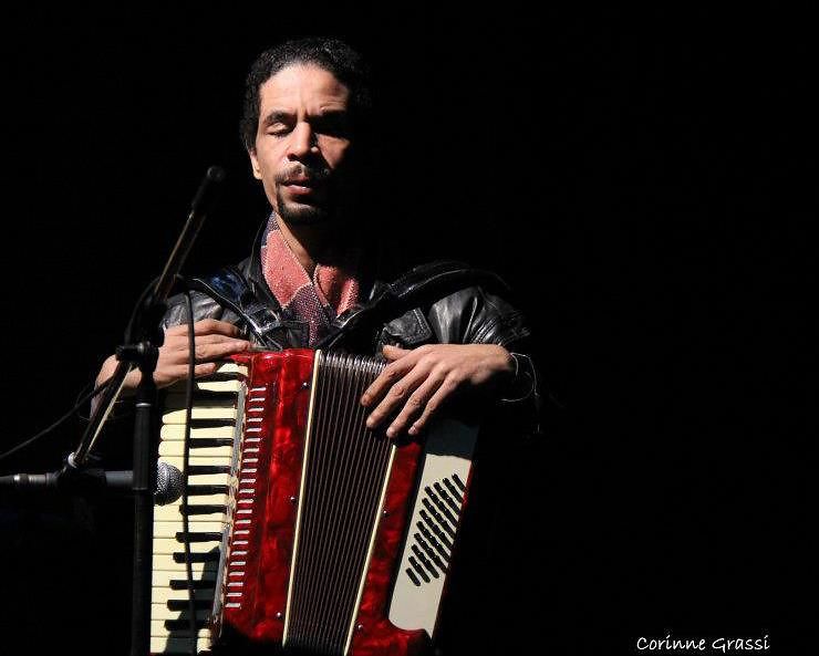 Wael Aly