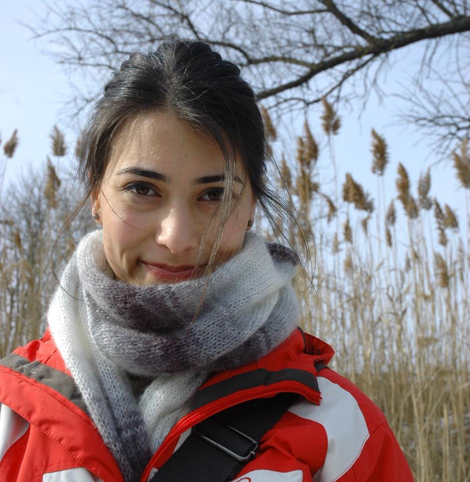 Bengisu Ilksoy
