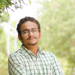 Yahia M.Elamin
