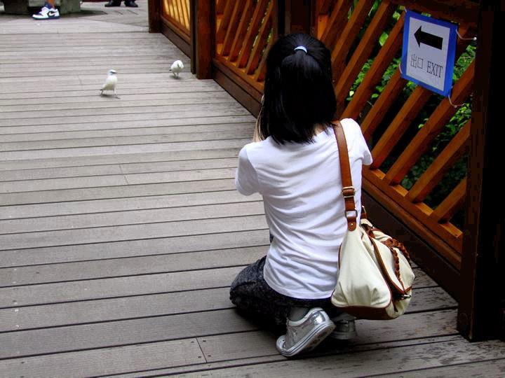 Yuen Lam Tsang
